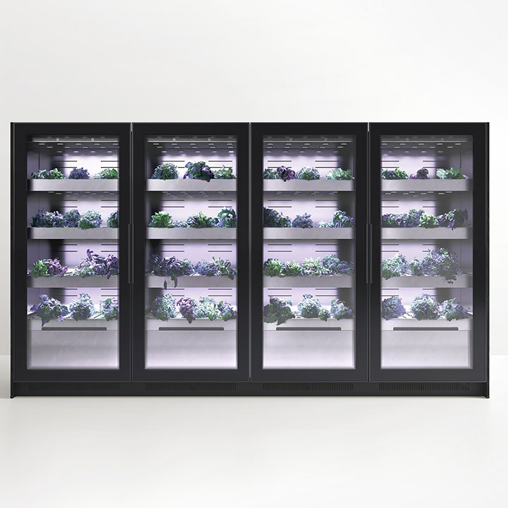 Arclinea